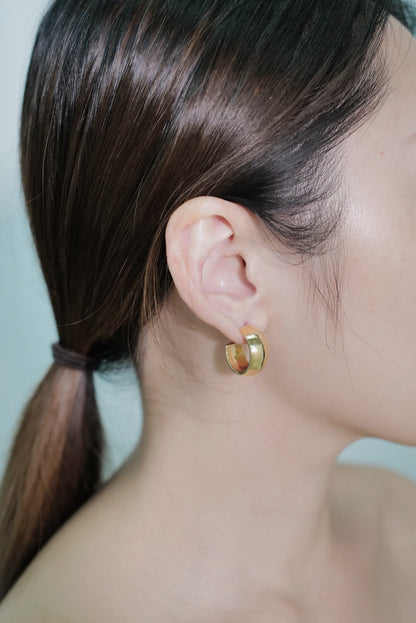 Astra Gold Vermeil Earrings